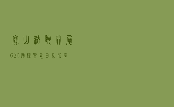 宝山法院开展“6·26国际禁毒日”系列宣传活动