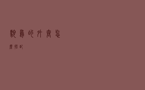 鸵鸟的外套怎么搭配