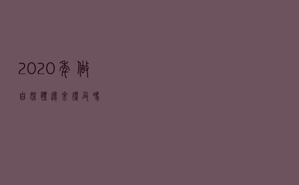 2020年做自媒体还来得及吗？