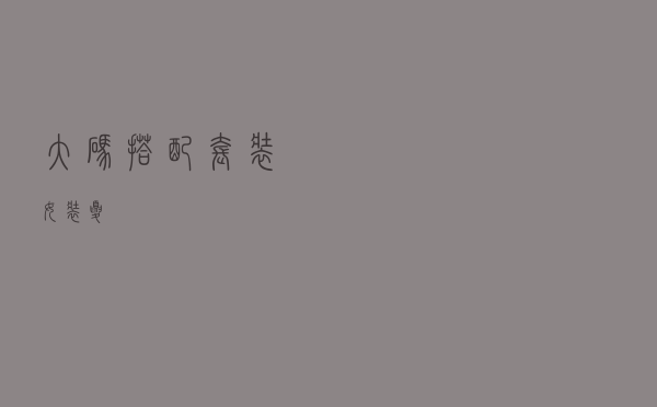 大码搭配套装女装夏