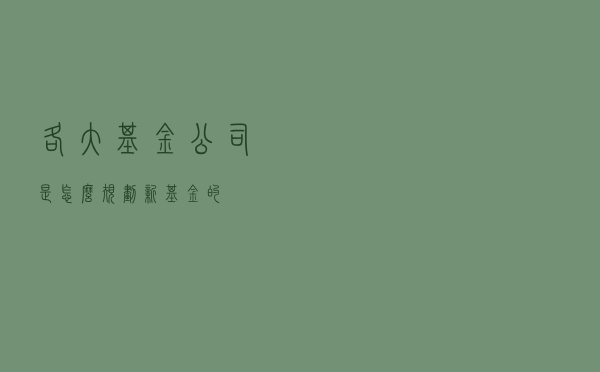 各大基金公司是怎么规划新基金的？