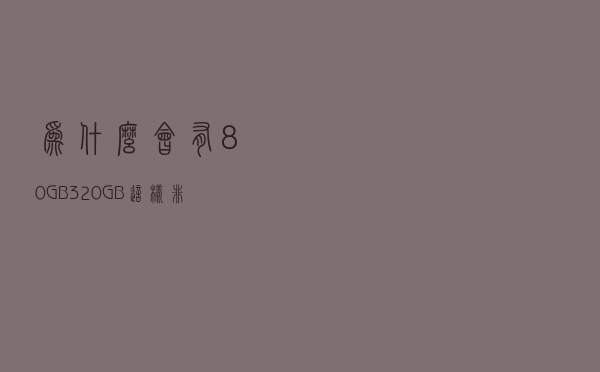 为什么会有80GB/320GB这样
