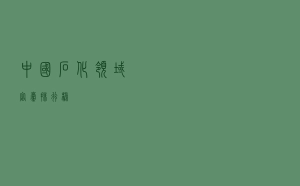 中国石化领域富豪排行榜！