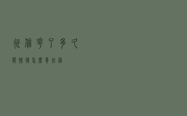征信花了多久能恢复？怎么养征信？