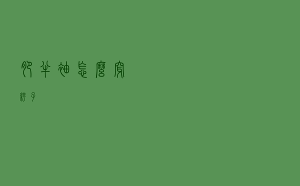 肥半袖怎么穿裤子