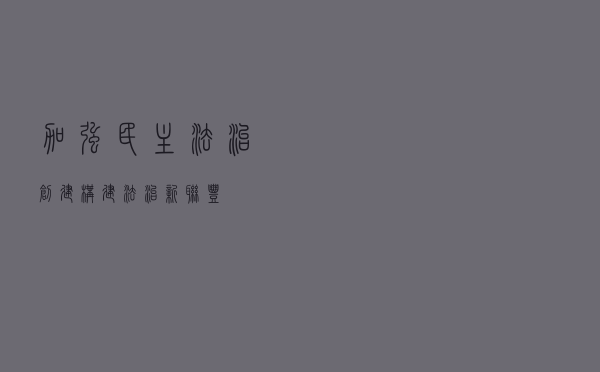 加强民主法治创建构建法治新联丰