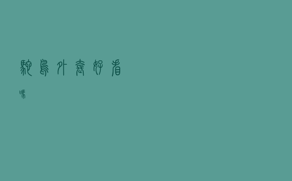 鸵鸟外套好看吗