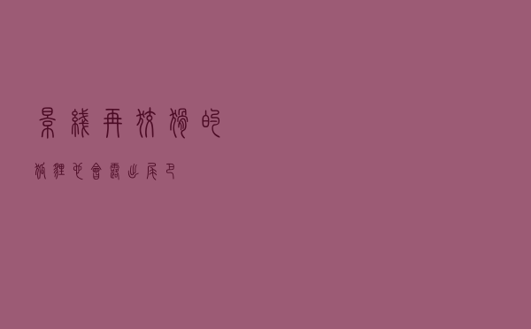 影线-------再狡猾的狐狸也会露出尾巴