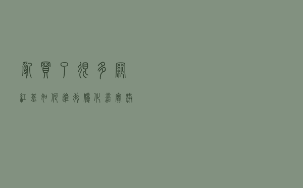 乱买了很多网红基，如何进行优化？嘉实洪流有话说