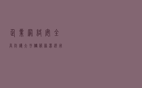 企业网络安全高防护大存储服务器选用666IDC