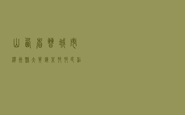 山西省晋城市泽州县大箕镇某村村民私采滥挖煤炭资源以案释法案例