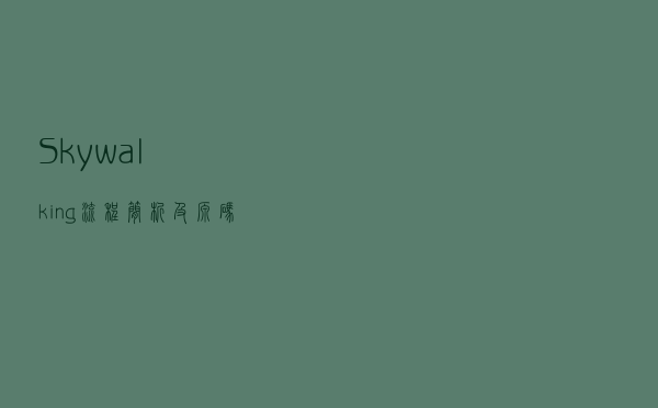 Skywalking流程简析及源码调试