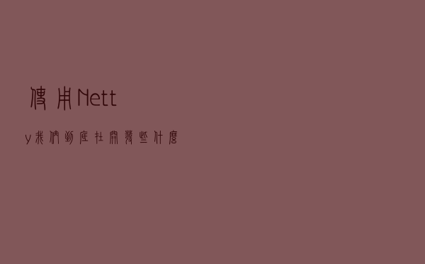 使用Netty，我们到底在开发些什么？