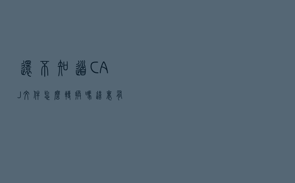 还不知道CAJ文件怎么转换吗？这里有好办法