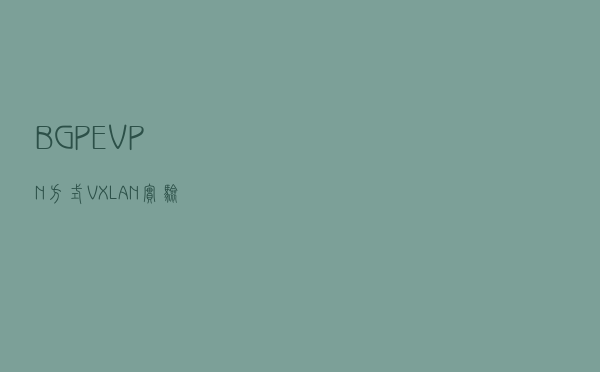 BGP EVPN方式VXLAN实验