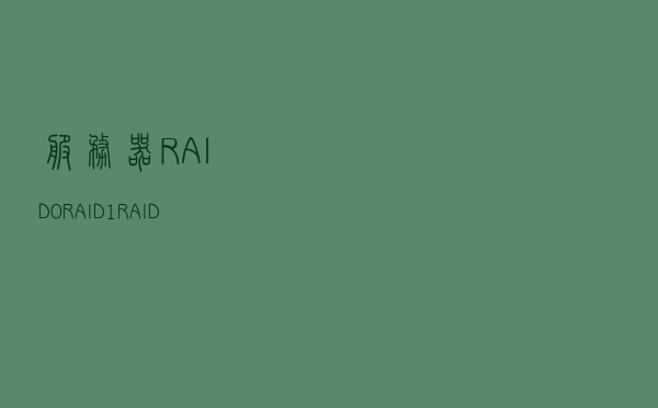 服务器RAID0，RAID1,RAID10,RAID3，RAID5详细解说