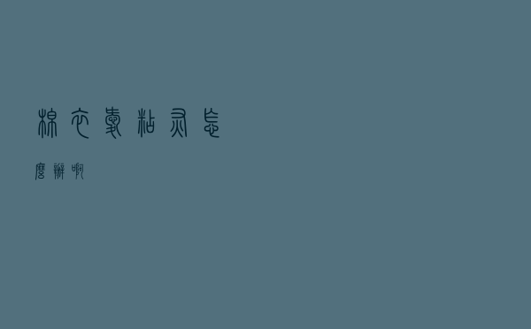 棉衣爱粘灰怎么办啊