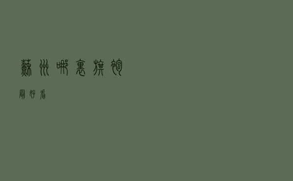 苏州哪里旗袍最好看