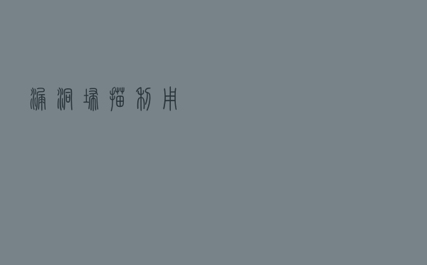 漏洞扫描利用