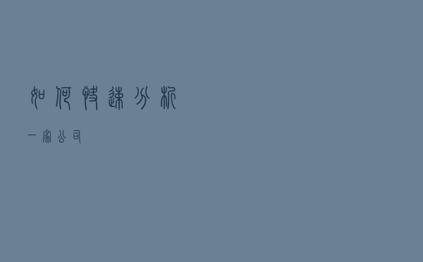 如何快速分析一家公司