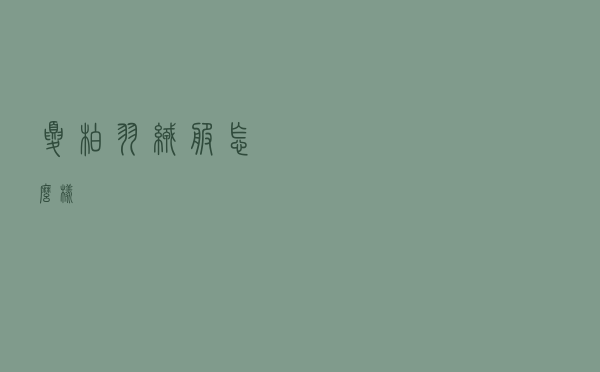 夏柏羽绒服怎么样