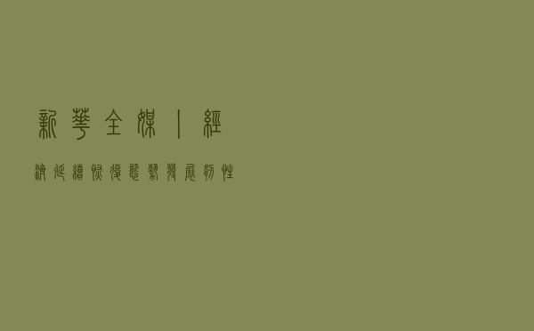 新华全媒+丨经济延续恢复态势，发展韧性继续彰显——聚焦10月份国民经济数据