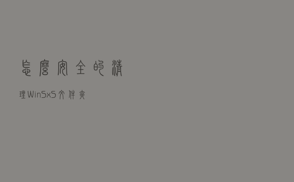 怎么安全的清理WinSxS文件夹？