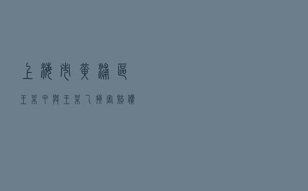 上海市黄浦区王某甲与王某乙损害赔偿纠纷调解案