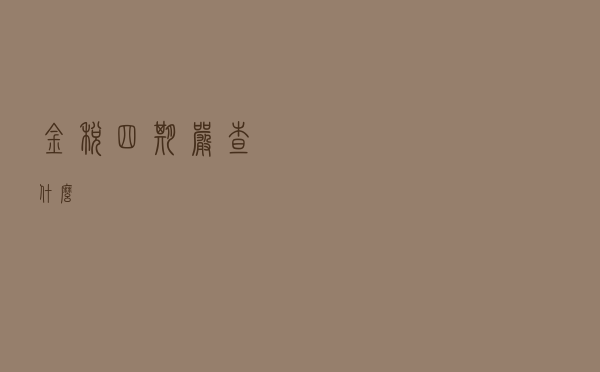 金税四期严查什么?
