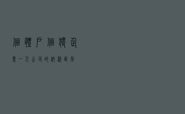 个体户、个独企业、一人公司的纳税区别