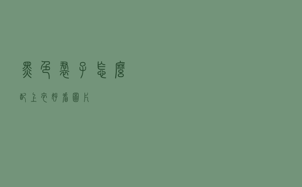 黑色裙子怎么配上衣好看图片