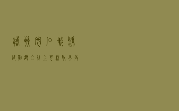 赣州市石城县试点建立线上可视化公共法律服务平台