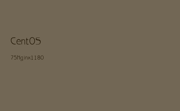 CentOS 7.5 + Nginx 1.18.0 环境搭建试验
