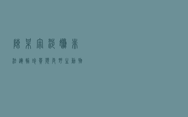 陈某宗涉嫌非法运输珍贵、濒危野生动物制品案以案释法案例