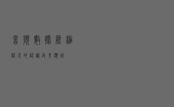 音频数据压缩格式的认识及其应用