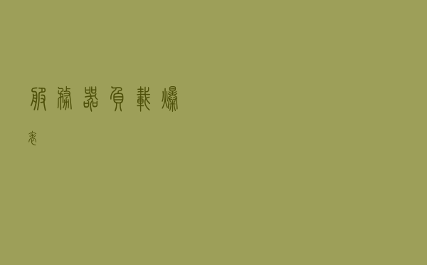 服务器负载爆表