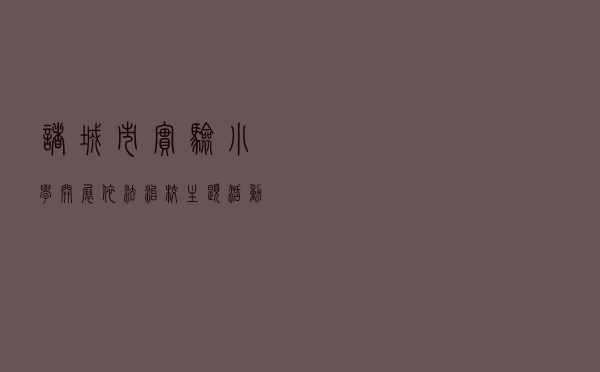 诸城市实验小学开展依法治校主题活动