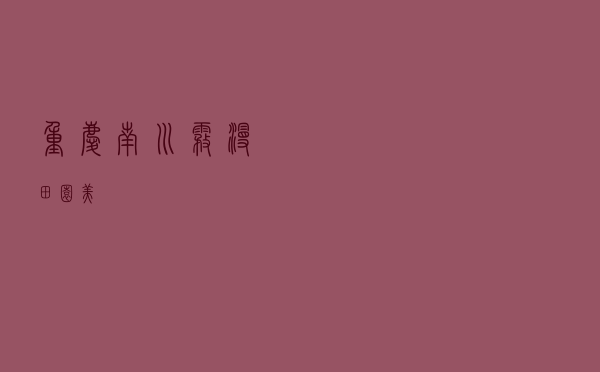 重庆南川：雾漫田园美