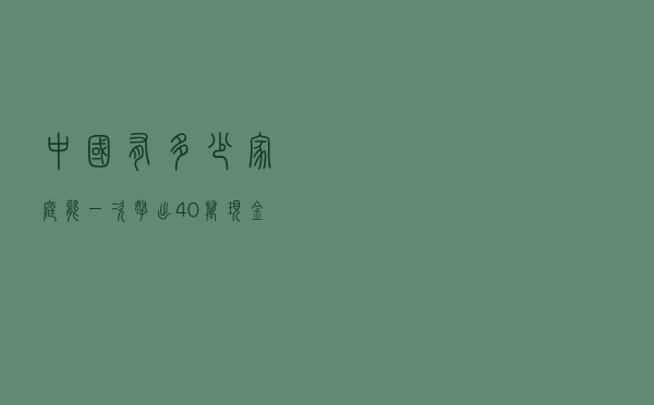 中国有多少家庭，能一次拿出40万现金？答案有些“出乎意料”