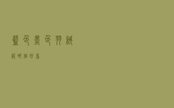 蓝色黑色羽绒服哪个好看