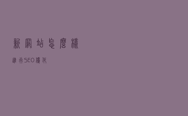 新网站怎么样进行SEO优化