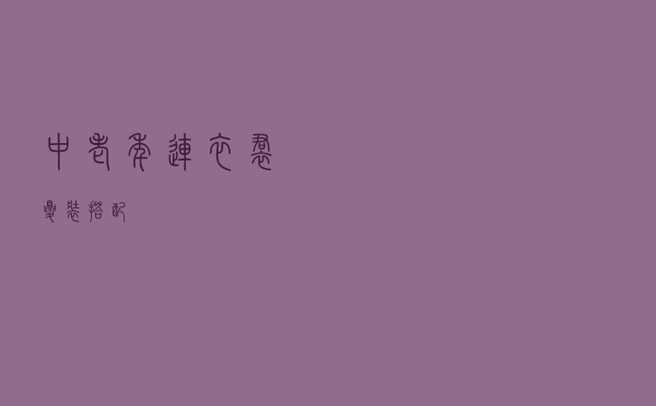 中老年连衣裙夏装搭配