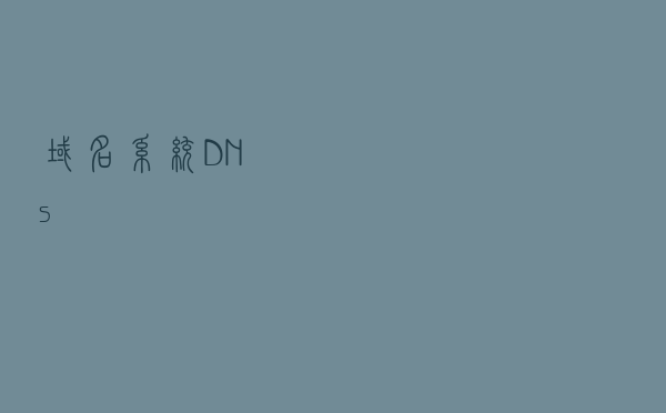 域名系统DNS