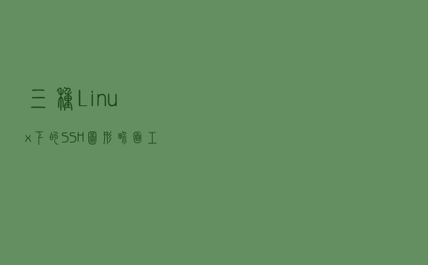 三种 Linux 下的 SSH 图形界面工具