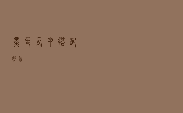 黑色马甲搭配好看