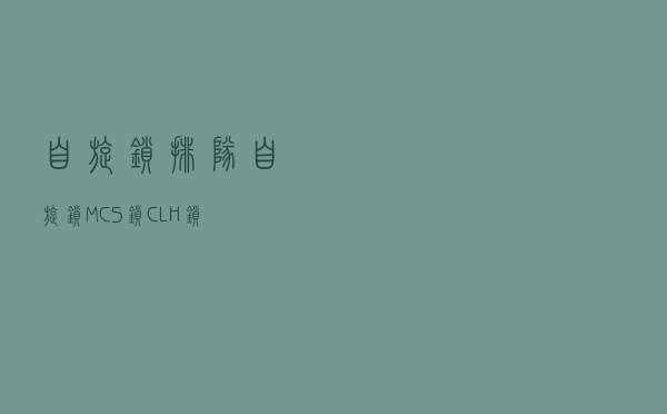 自旋锁、排队自旋锁、MCS锁、CLH锁