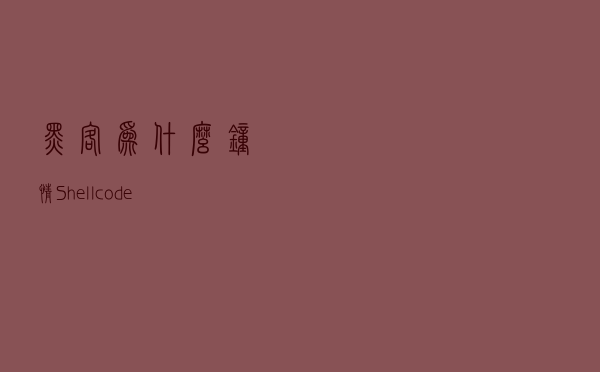 黑客为什么钟情Shellcode？