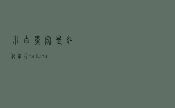 小白黑客是如何进行Kali Linux渗透测试的？