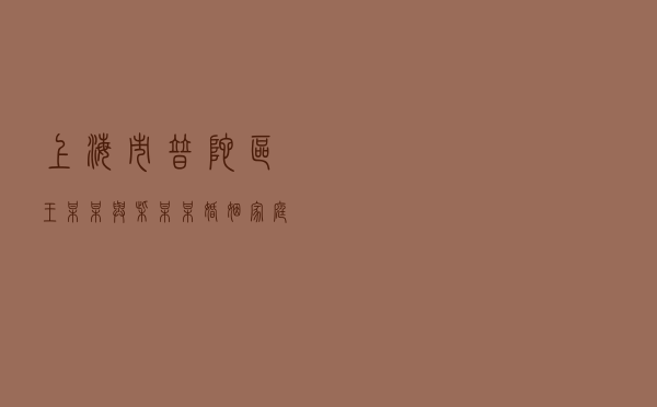 上海市普陀区王某某与柴某某婚姻家庭纠纷调解案