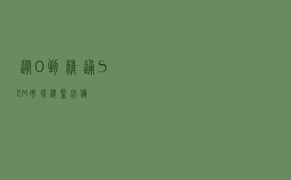 从0到精通SEM（市场总监必备）